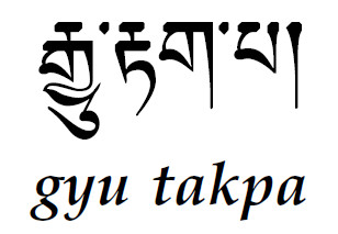 Gyu Takpa